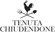 Tenuta Chiudendone in Palaia, Italy